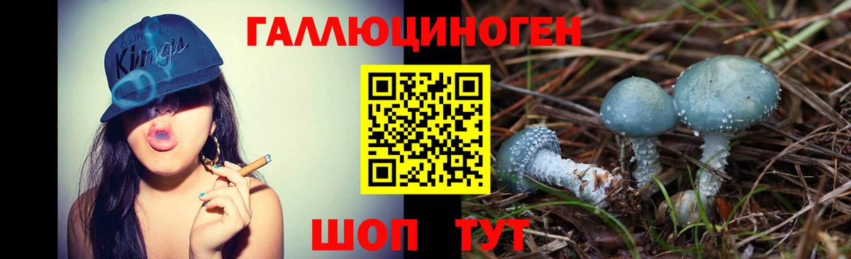 Галлюциногенные грибы Cubensis  Вход с VPN  Галлюциногенные грибы GOLDEN TEACHER  Обь 